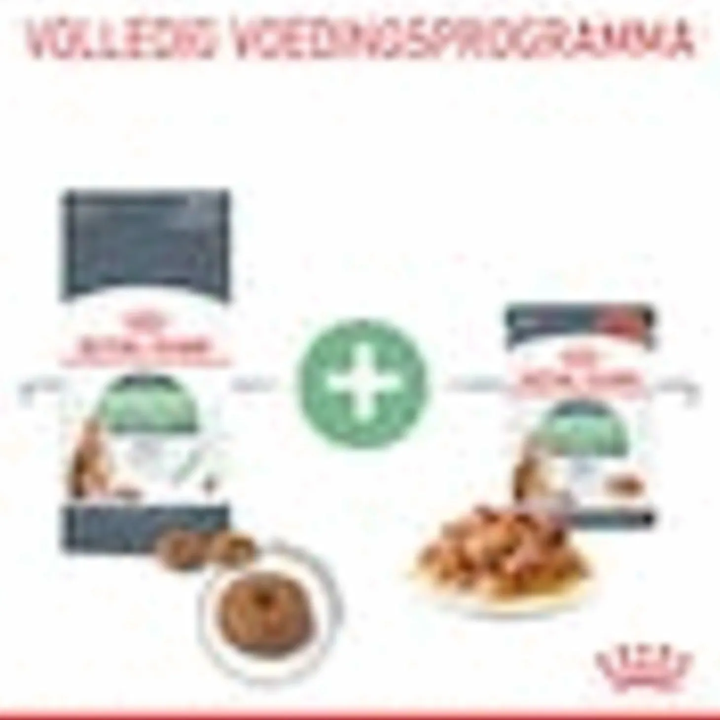 Royal Canin Digestive Care - Kattenvoer