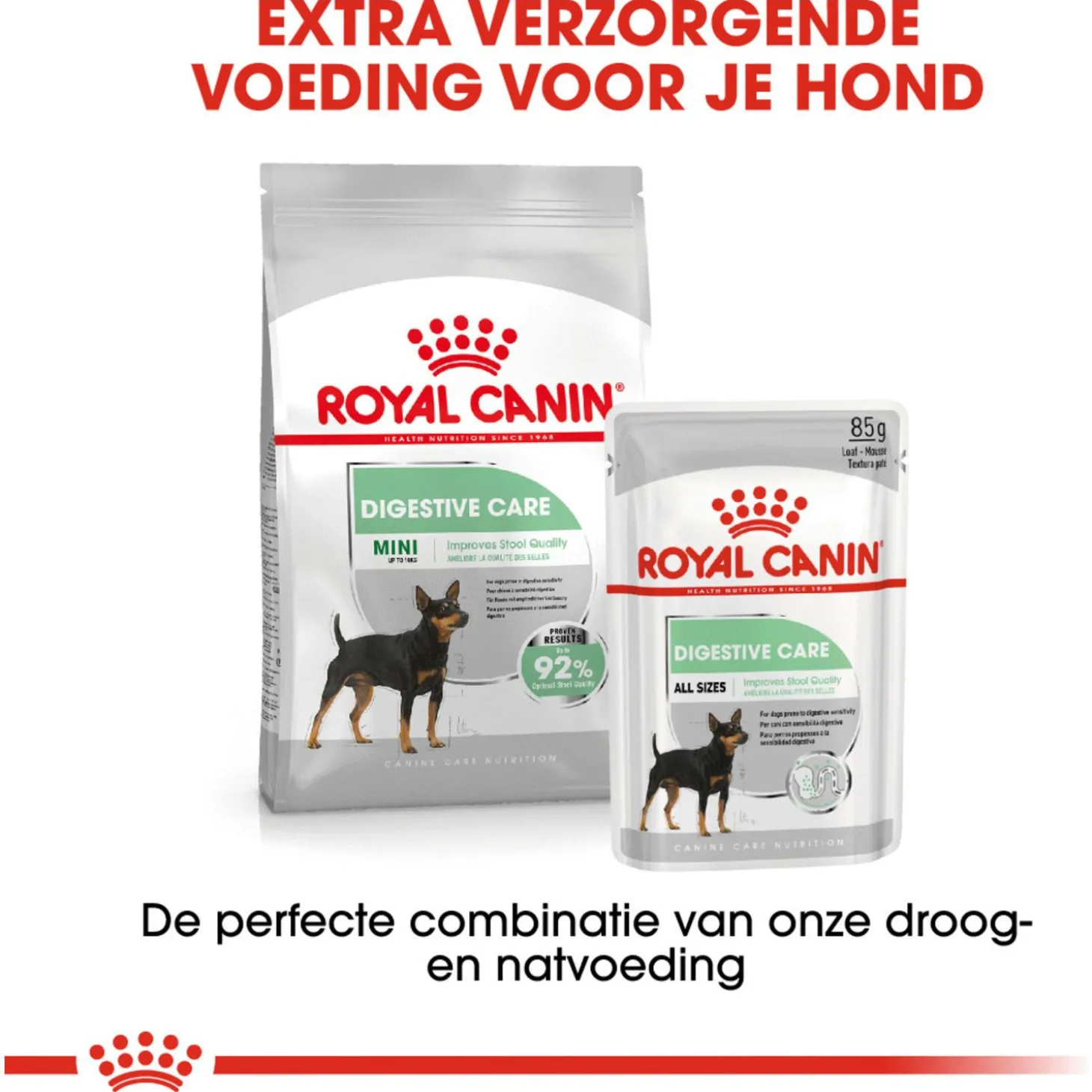 Royal Canin Digestive Care Mini - Hondenvoer