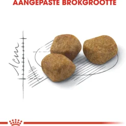 Royal Canin Fit 32 - Kattenvoer