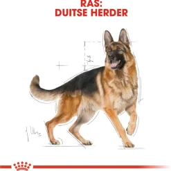 Royal Canin German Shepherd Adult - Hondenvoer