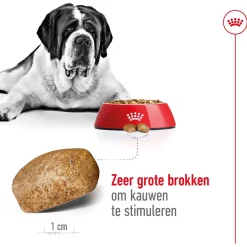Royal Canin Giant Adult - Hondenvoer
