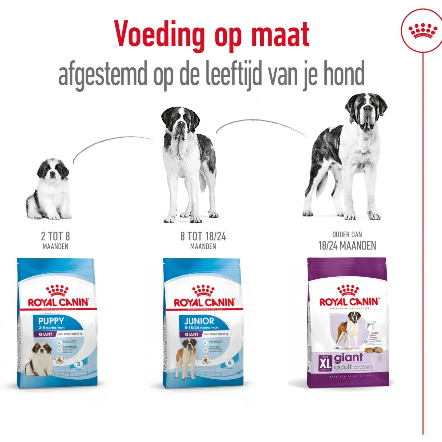 Royal Canin Giant Adult - Hondenvoer