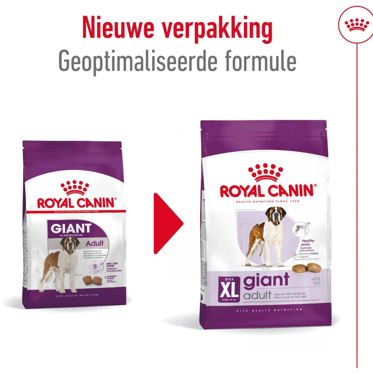 Royal Canin Giant Adult - Hondenvoer