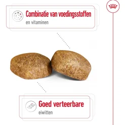 Royal Canin Giant Adult - Hondenvoer