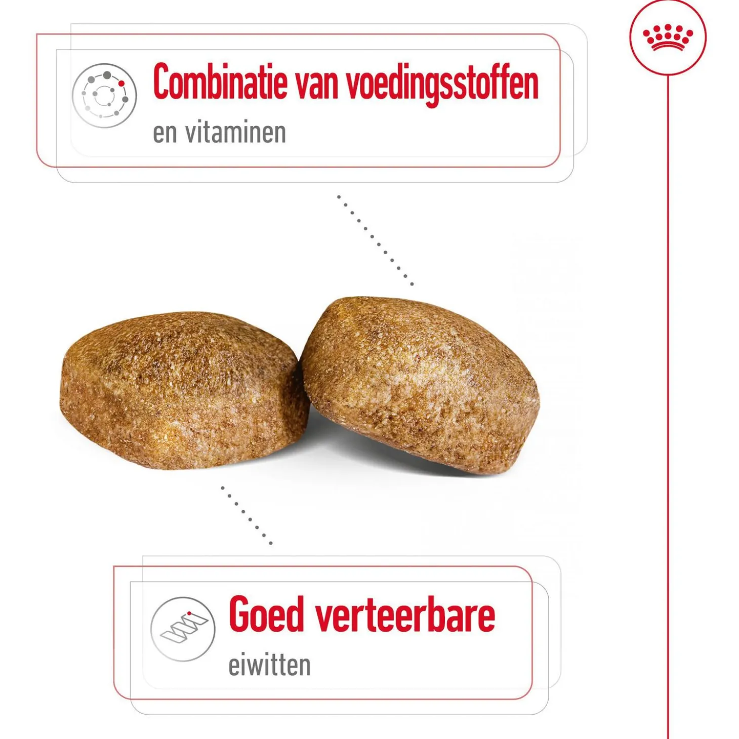 Royal Canin Giant Adult - Hondenvoer