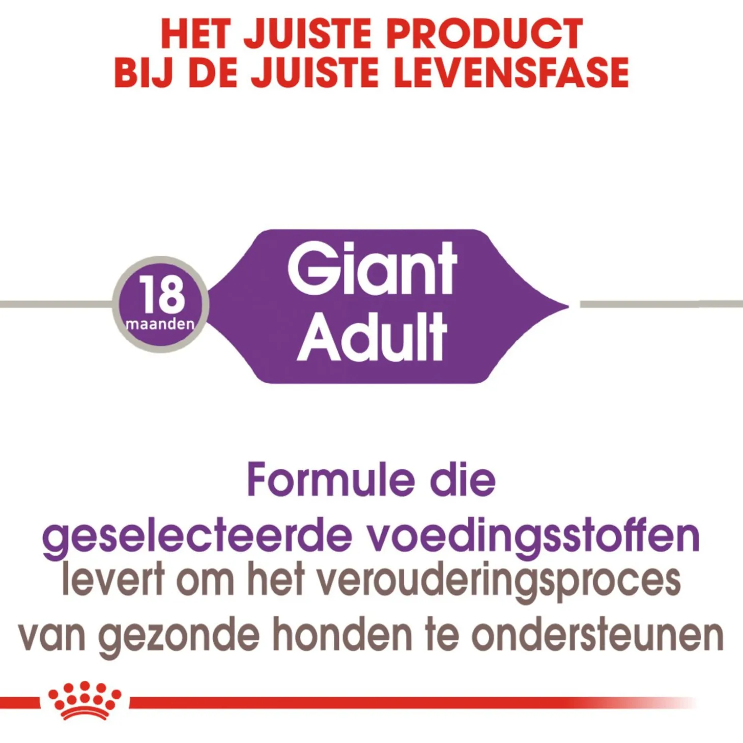 Royal Canin Giant Adult - Hondenvoer