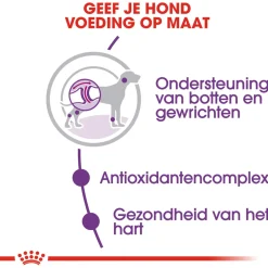 Royal Canin Giant Adult - Hondenvoer