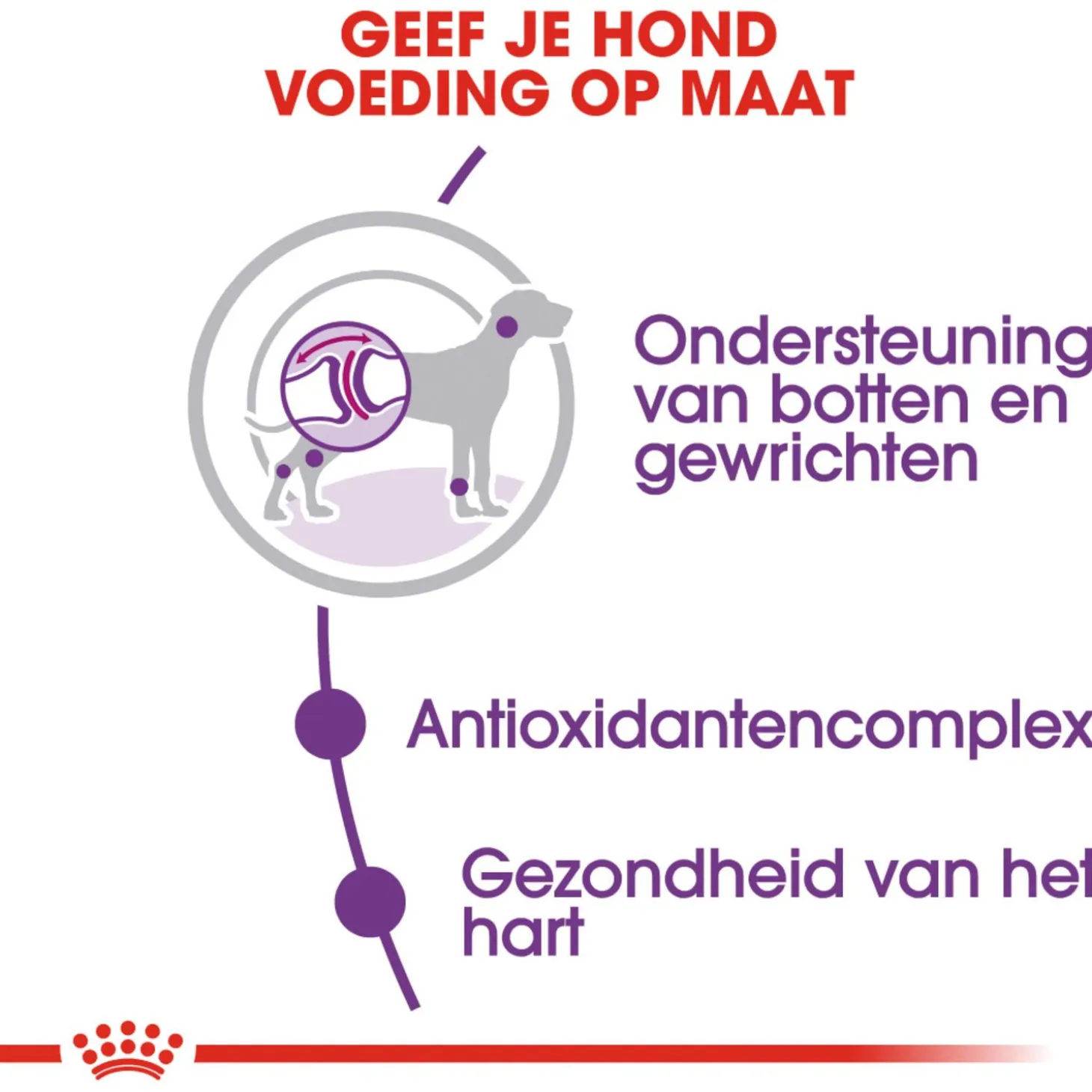 Royal Canin Giant Adult - Hondenvoer
