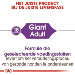 Royal Canin Giant Adult - Hondenvoer