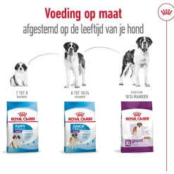 Royal Canin Giant Adult - Hondenvoer