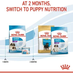 Royal Canin Giant Starter Mother & Babydog - Puppy-Hondenvoer - 15 kg