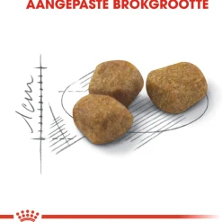 Royal Canin Indoor 7+ - Kattenvoer