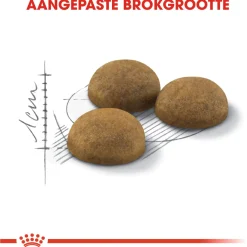 Royal Canin Indoor Long Hair - Kattenvoer