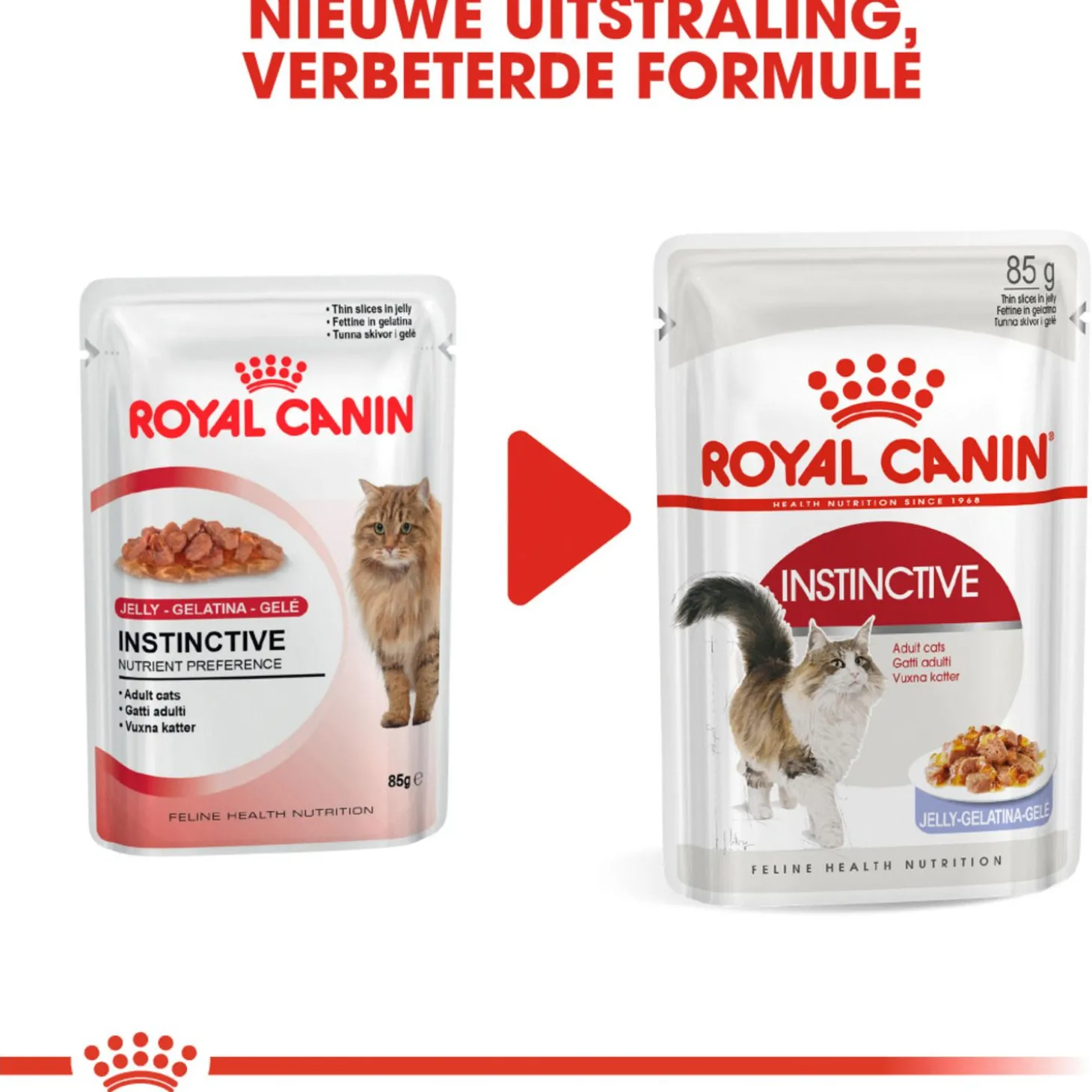 Royal Canin Instinctive - In Jelly - Kattenvoer - 12x85 g Jelly