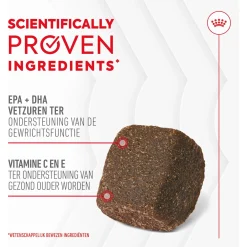 Royal Canin Joint & Ageing Chews - Hondensnacks - 240 g