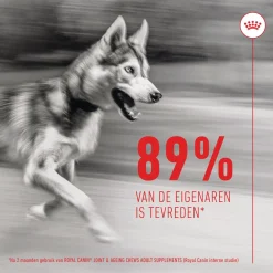 Royal Canin Joint & Ageing Chews - Hondensnacks - 240 g