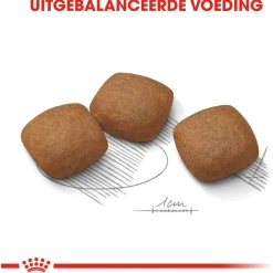 Royal Canin Joint Care Maxi - Hondenvoer - 10 kg