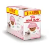 Royal Canin Kitten - In Gravy 8+4 Gratis - Kitten-Kattenvoer - 12x85 g Bonuspack