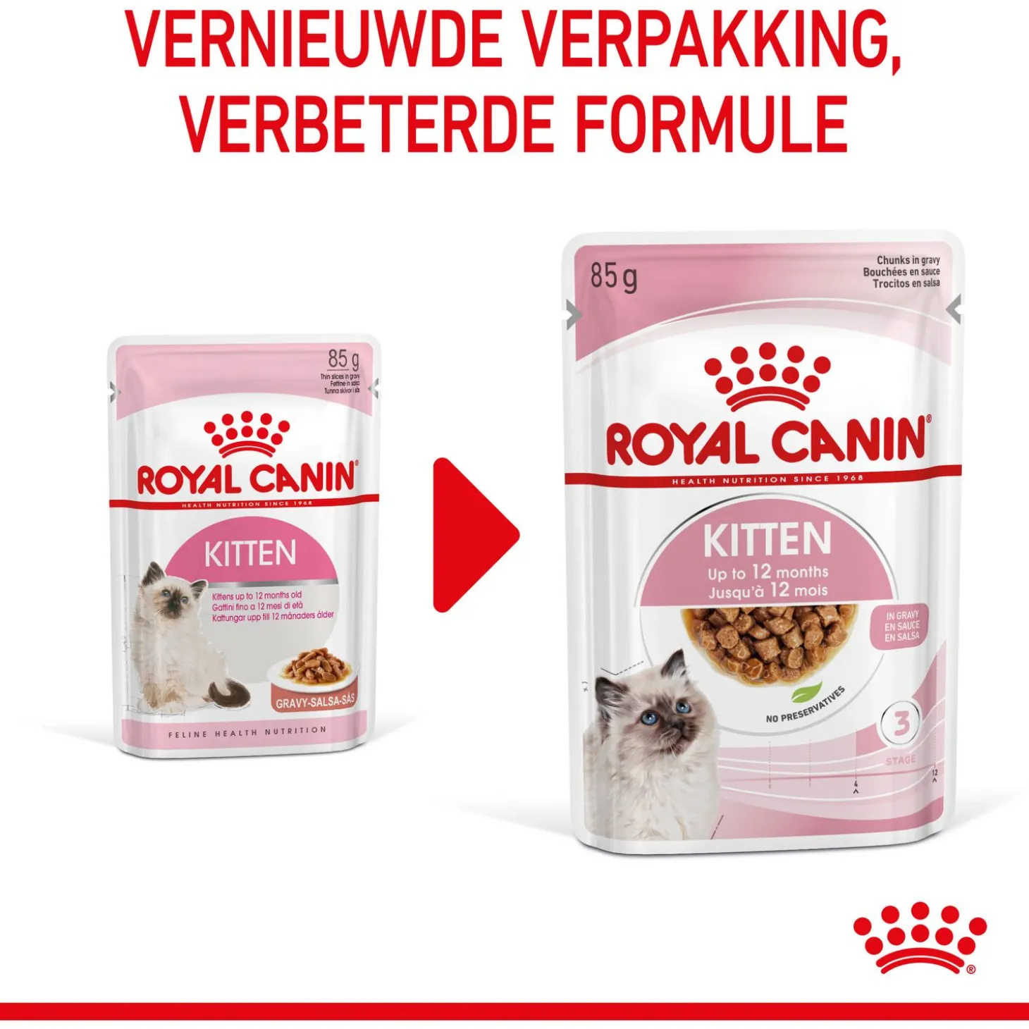 Royal Canin Kitten - In Gravy - Kitten-Kattenvoer - 12x85 g Bonuspack