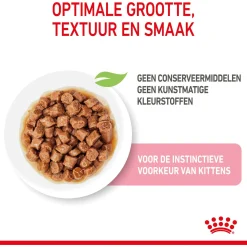 Royal Canin Kitten - In Gravy - Kitten-Kattenvoer - 12x85 g Bonuspack