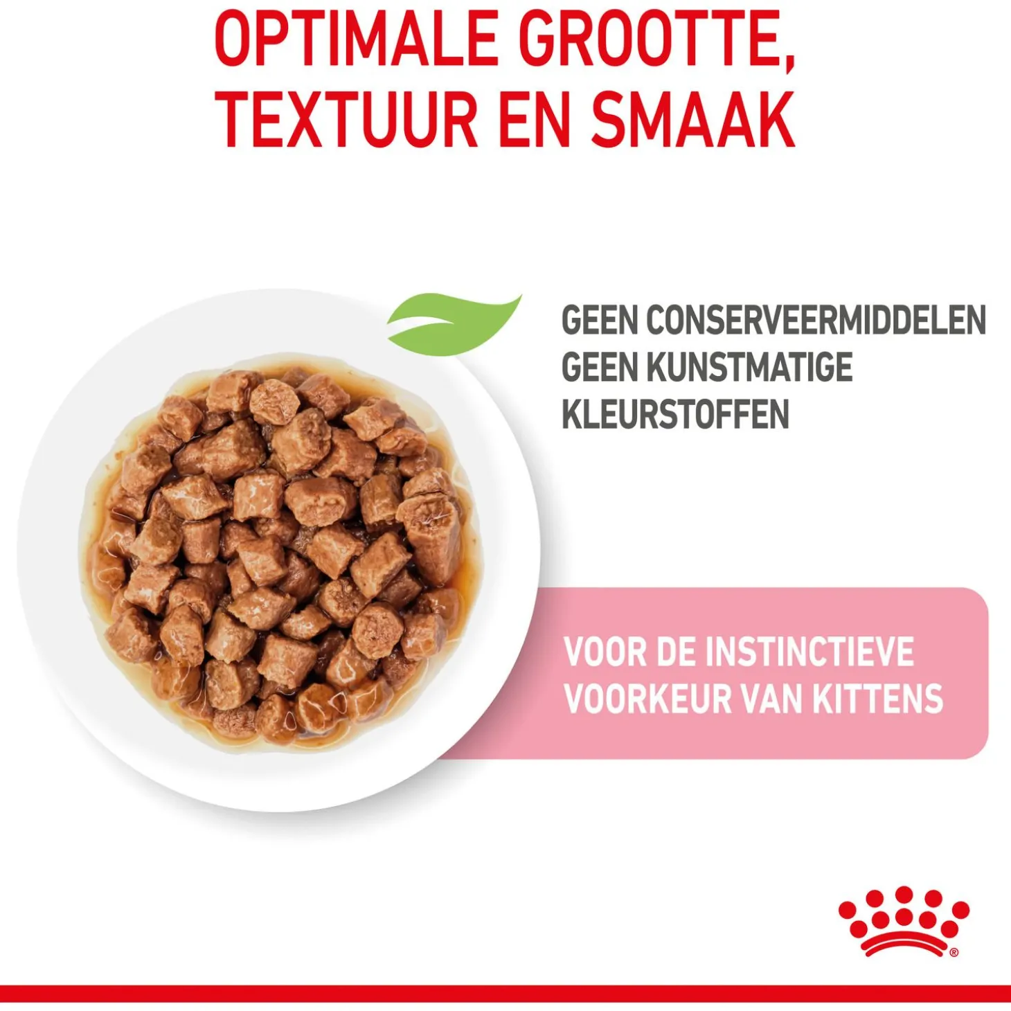Royal Canin Kitten - In Gravy - Kitten-Kattenvoer - 12x85 g Bonuspack