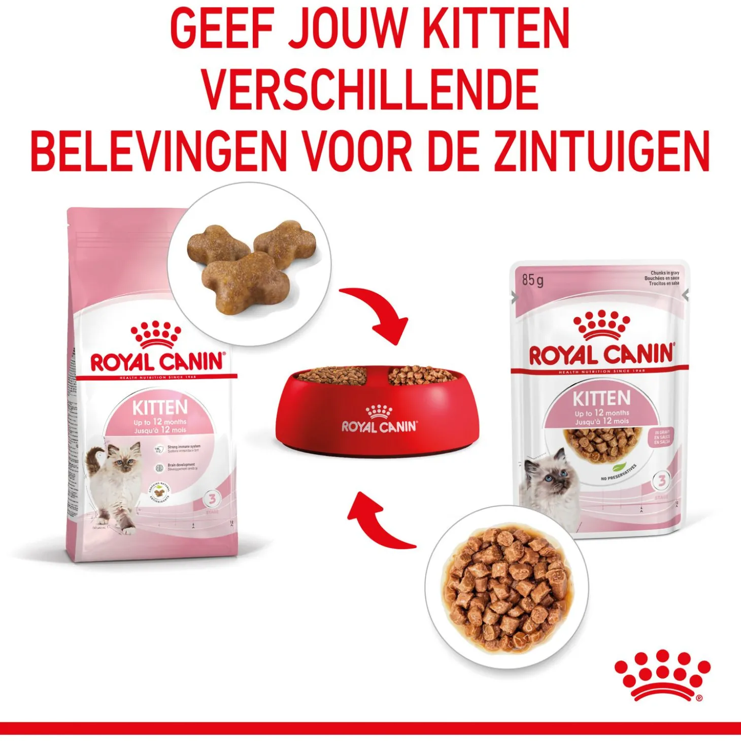 Royal Canin Kitten - In Gravy - Kitten-Kattenvoer - 12x85 g Bonuspack