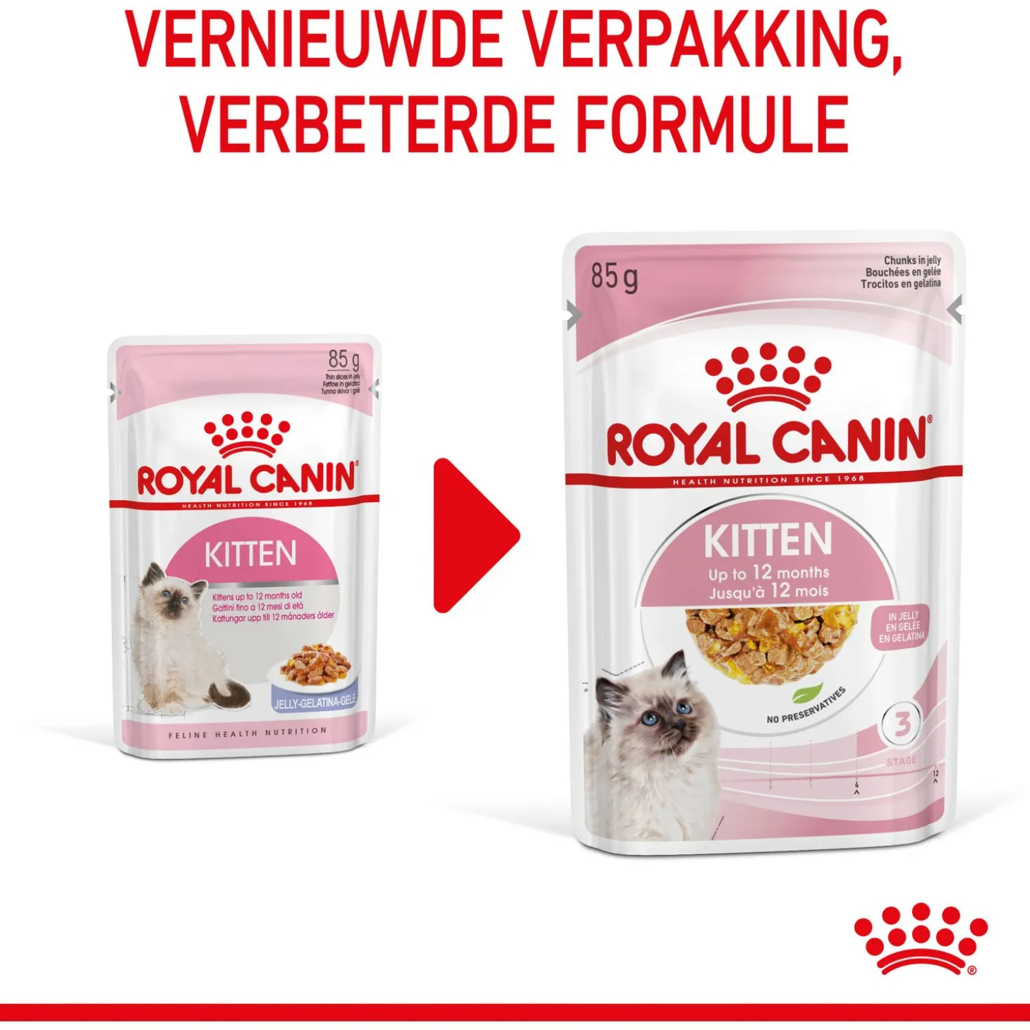 Royal Canin Kitten In Jelly - Kitten-Kattenvoer - 12x85 g Natvoer