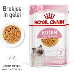 Royal Canin Kitten In Jelly - Kitten-Kattenvoer - 12x85 g Natvoer