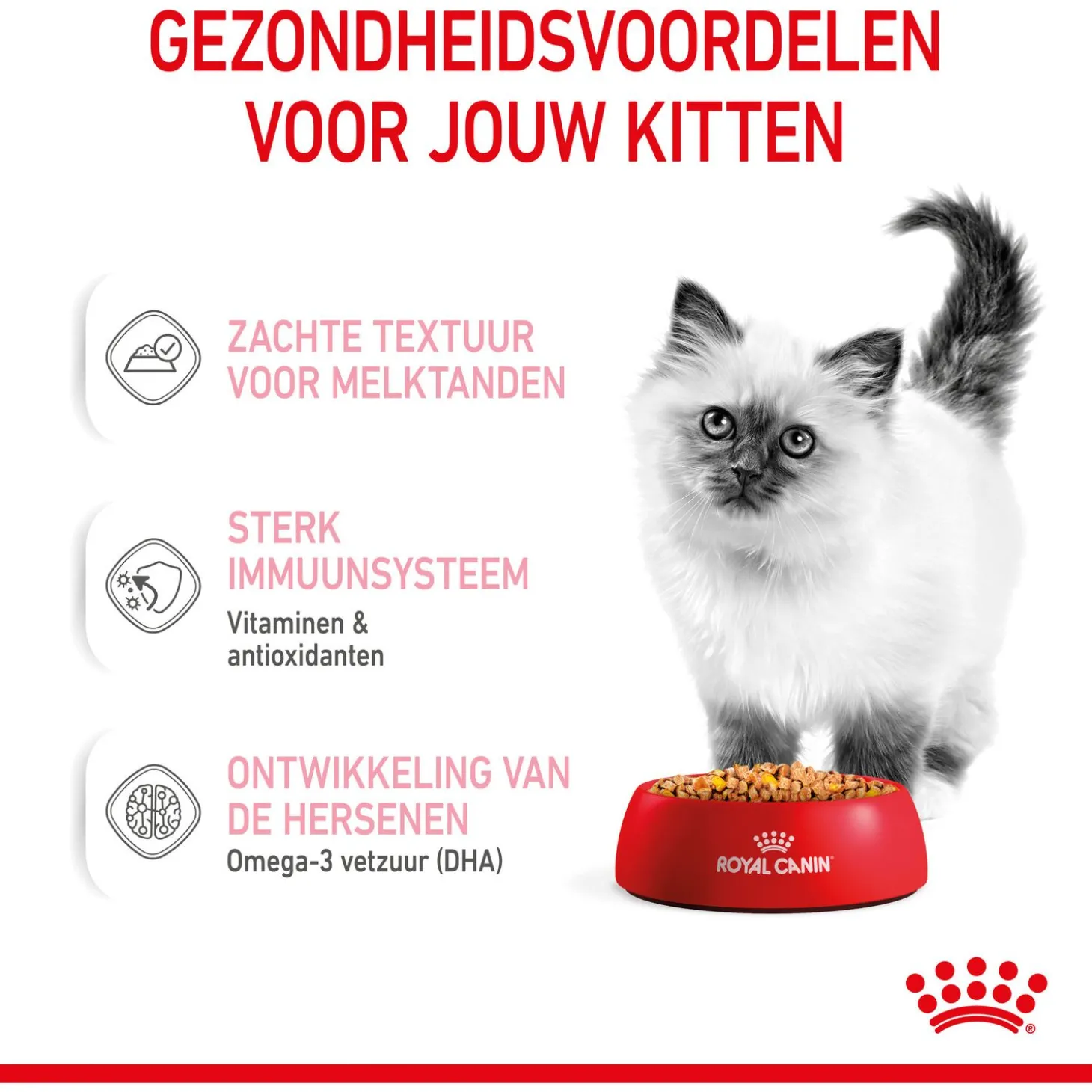 Royal Canin Kitten In Jelly - Kitten-Kattenvoer - 12x85 g Natvoer