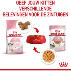Royal Canin Kitten In Jelly - Kitten-Kattenvoer - 12x85 g Natvoer