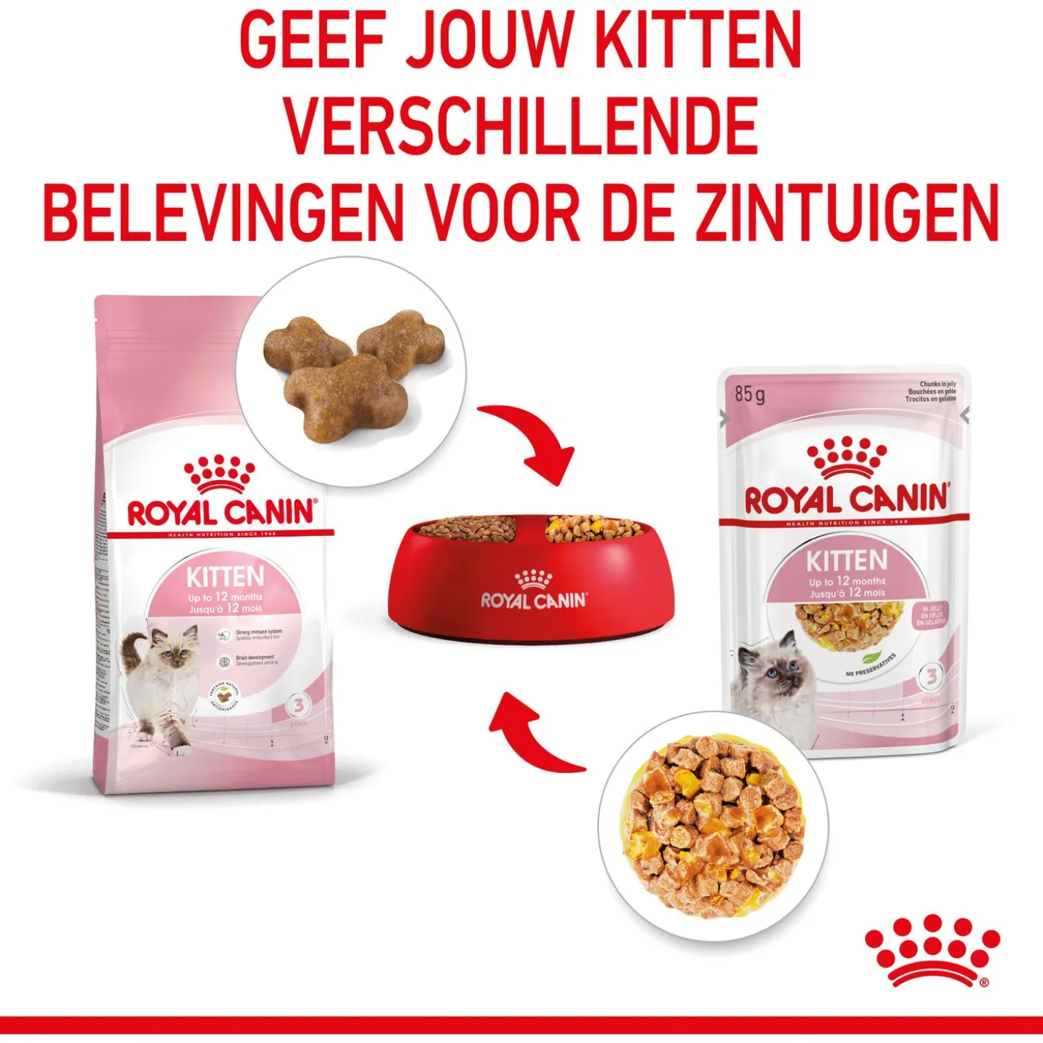 Royal Canin Kitten In Jelly - Kitten-Kattenvoer - 12x85 g Natvoer