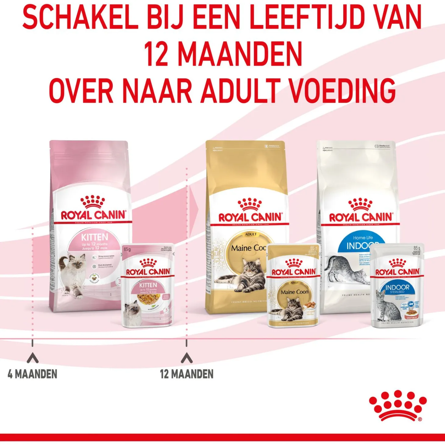 Royal Canin Kitten In Jelly - Kitten-Kattenvoer - 12x85 g Natvoer