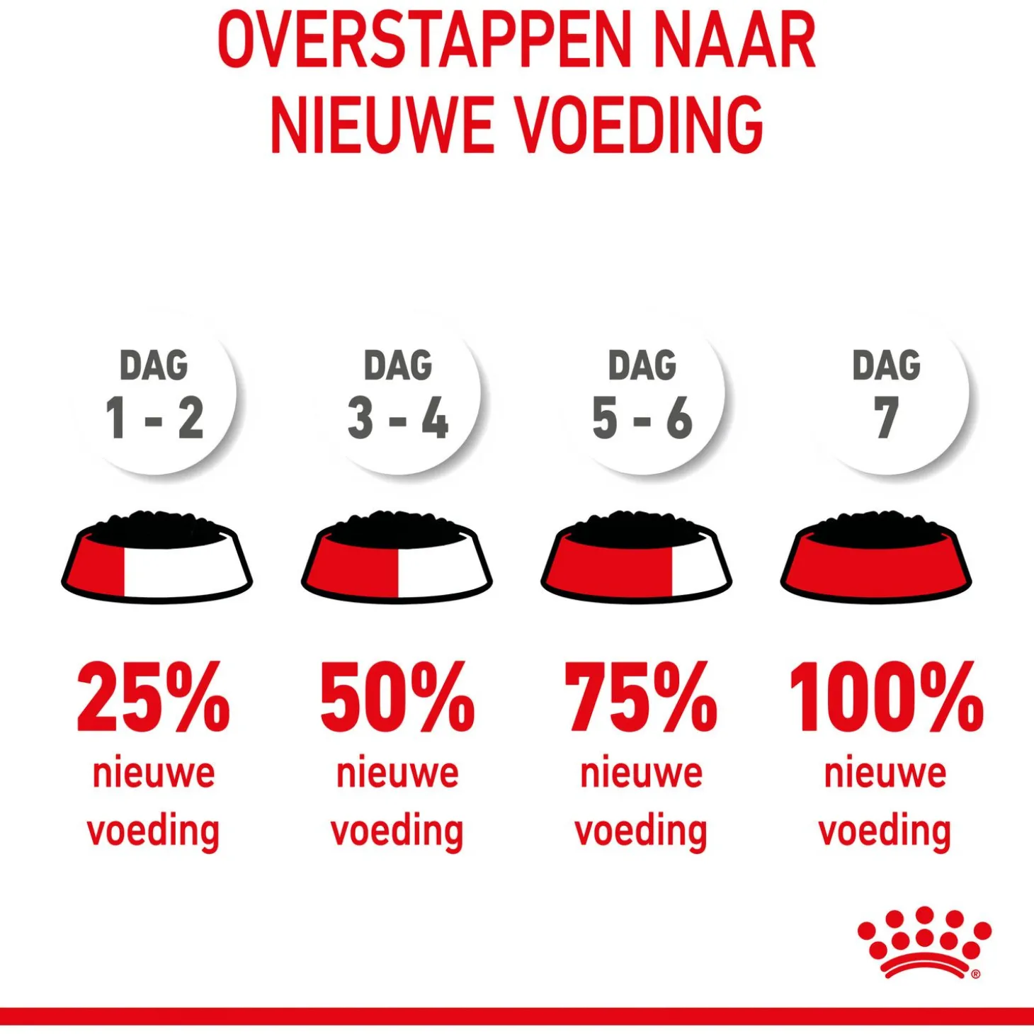 Royal Canin Kitten In Jelly - Kitten-Kattenvoer - 12x85 g Natvoer