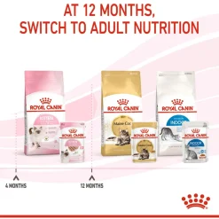 Royal Canin Kitten Loaf - Kitten-Kattenvoer - 12x85 g