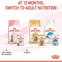 Royal Canin Kitten Sterilised Jelly - Kitten-Kattenvoer - 12x85 g