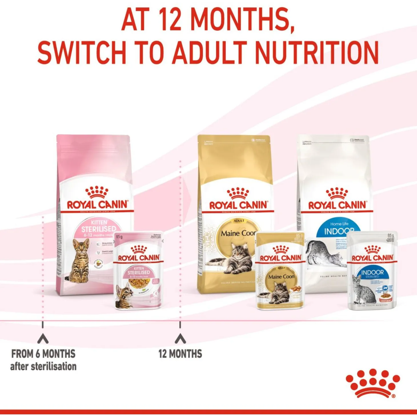 Royal Canin Kitten Sterilised Jelly - Kitten-Kattenvoer - 12x85 g