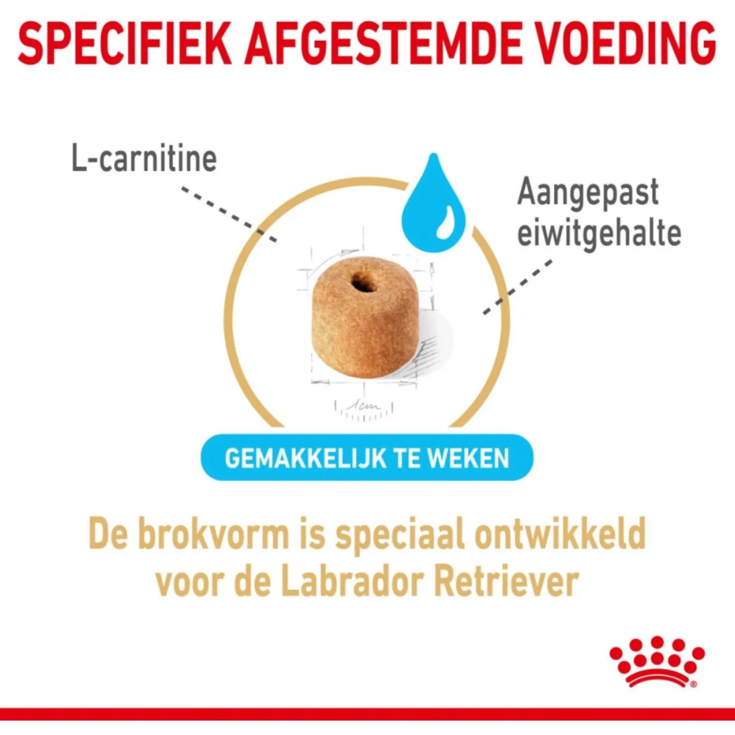 Royal Canin Labrador Retriever Adult 5+ - Hondenvoer