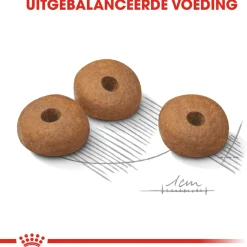 Royal Canin Light Weight Care Mini - Hondenvoer