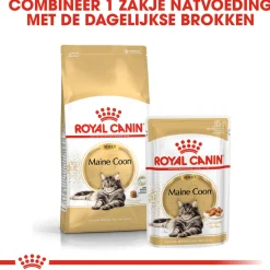 Royal Canin Maine Coon Adult - Kattenvoer