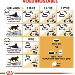 Royal Canin Maine Coon Adult - Kattenvoer