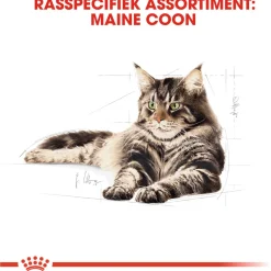 Royal Canin Maine Coon Adult - Kattenvoer