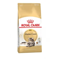 Royal Canin Maine Coon Adult - Kattenvoer