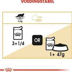 Royal Canin Maine Coon Adult Natvoer - Kattenvoer - 12x85 g