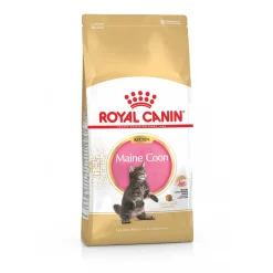 Royal Canin Maine Coon Kitten - Kitten-Kattenvoer