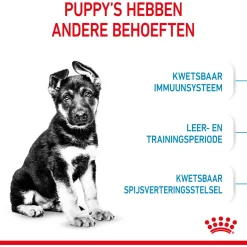 Royal Canin Maxi - Puppy-Hondenvoer