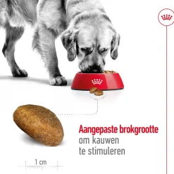 Royal Canin Maxi Adult - Hondenvoer