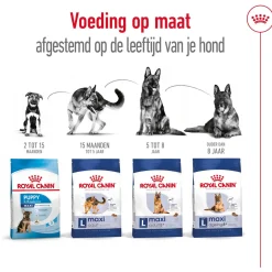 Royal Canin Maxi Adult - Hondenvoer