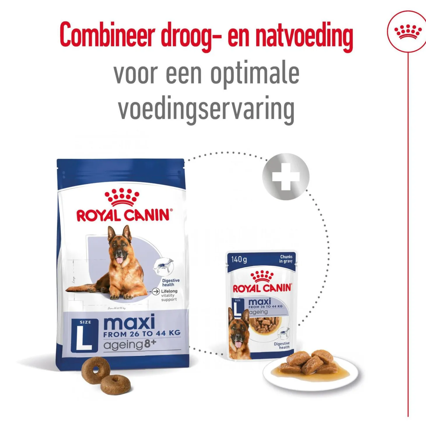 Royal Canin Maxi Ageing 8+ - Hondenvoer