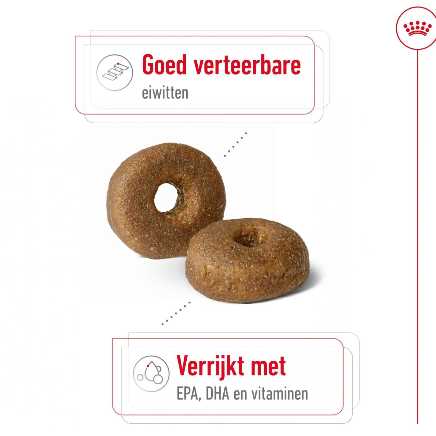 Royal Canin Maxi Ageing 8+ - Hondenvoer