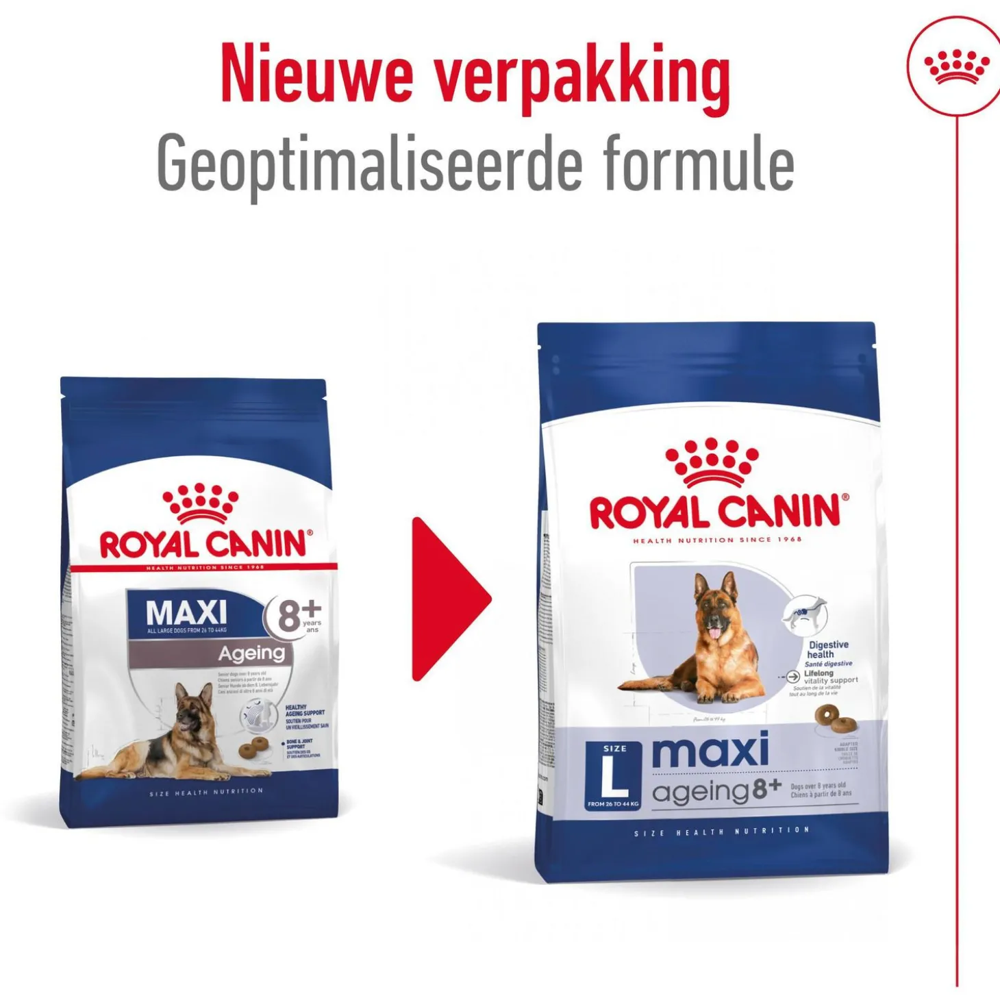 Royal Canin Maxi Ageing 8+ - Hondenvoer